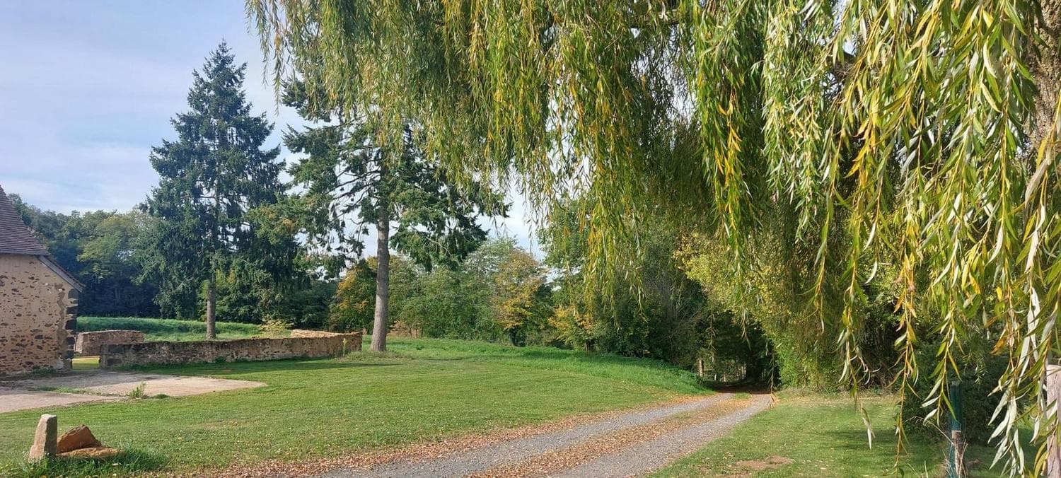 Le terrain avec ses saules pleureurs