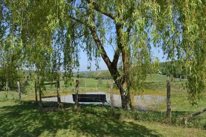 Vue panoramique sur la campagne vallonnee et l'etang