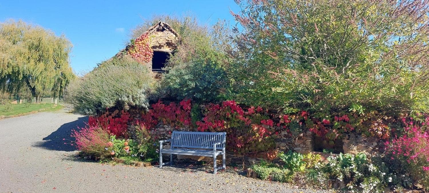 Cour en automne avec banc